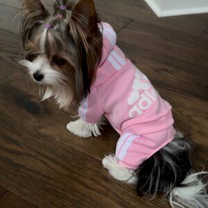 Adidog Pink Dog Hooded Warmup Suit Size XS